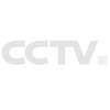 grey_CCTV