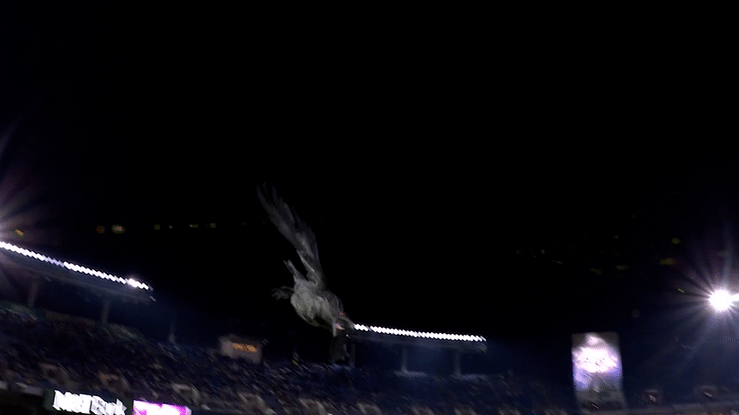 Video of Pixotope's augmented giant-sized raven swooping in at the Baltimore Ravens Stadium.