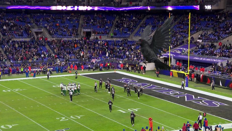 An augmented reality giant-sized raven swooping in and landing in the Baltimore Ravens' M&T Bank Stadium powered by Pixotope